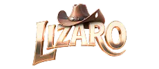 Lizaro logo footer